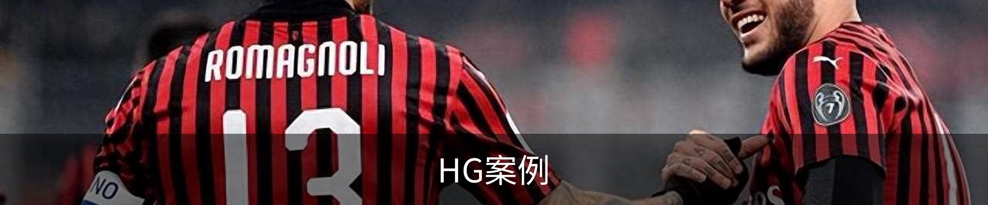 HG案例