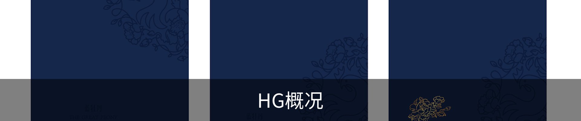 HG概况